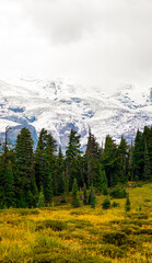 Mountain Snow in Mt Rainier National Park