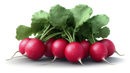 bunch of radishes