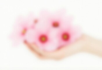 Hand holding a bouquet of pink flowers gently presenting the soft blossoms