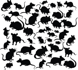 animals silhouettes set. rat silhouettes