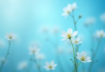 Delicate white flowers stand out against a dreamy soft-focused and light blue backdrop