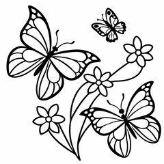 Fototapeta premium butterfly and flowers