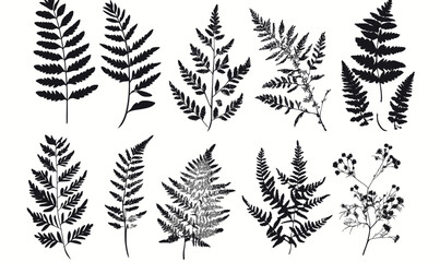 Minimalist Black Fern Leaves Vector Illustration for Nature Designs
