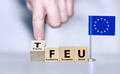 Cubes form the acronym TFEU (Treaty on the Functioning of the European Union).