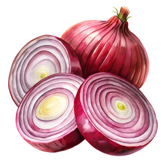 Watercolor Red onion long slices isolated on transparent background