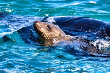 Obraz premium Cabo San Lucas, Mexico