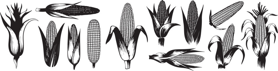 Naklejka premium Collection of Corn silhouette