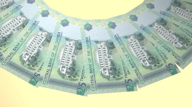 Lovely Looping Design 25 Dalasi Curency of Gambia
