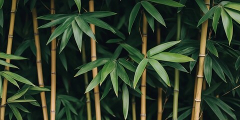 Fototapeta premium Green Bamboo Forest, Lush Foliage Texture, Abstract Nature Background, Tranquil Garden Scene