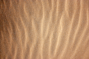
Sand background. A horizontal texture of yellow sand with waves and shells. Textures in the sand of the beach.  Sand with waves, texture or background.  Patterns in the sand
