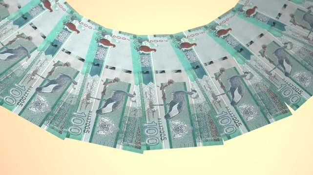 Lovely Looping Design 100 Dalasi Curency of Gambia