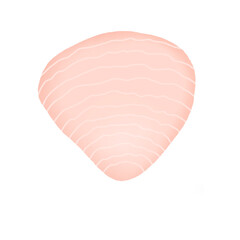 Hand drawn seashell in pastel colors. Design element for print, sticker, greeting card and invitation.