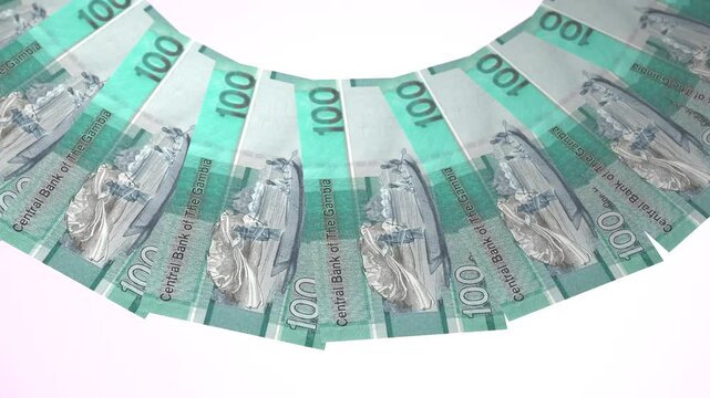 Lovely Looping Design 100 Dalasi Curency of Gambia