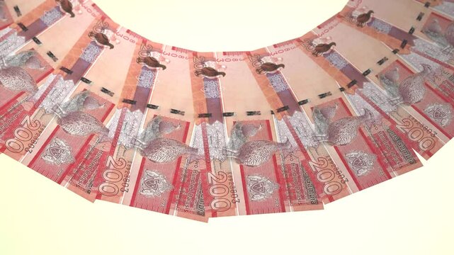 Lovely Looping Design 200 Dalasi Curency of Gambia