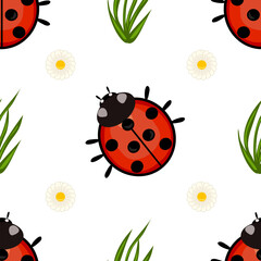 A seamless vector pattern featuring cartoon ladybugs, green grass, and white daisies on a white background. The ladybugs are bright red with black spots and a black head.