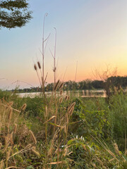 sunset over the river