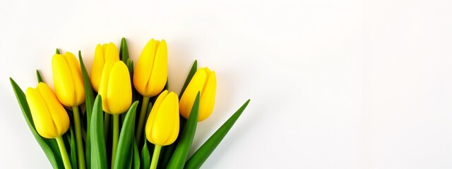 A bunch of yellow tulips with green leaves on a white background.