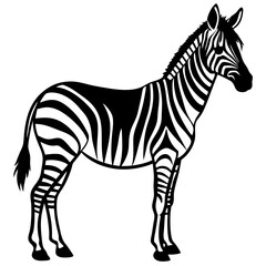 Fototapeta premium A vector silhouette of a zebra standing in profile, 