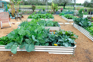 A vegetable garden featuring galvanized metal raised garden beds and wood shaving for mulch, a low...