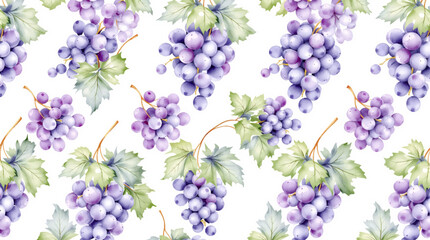 Watercolor grape on the white background