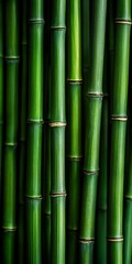 Fototapeta premium Green Bamboo Texture, Seamless Pattern Wallpaper Background for Oriental, Zen, Spa, Nature Designs