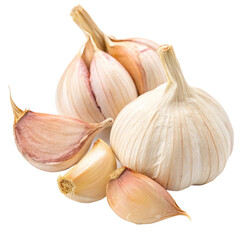 Closeup of Fresh Garlic Bulbs and Cloves Isolated on Black Background