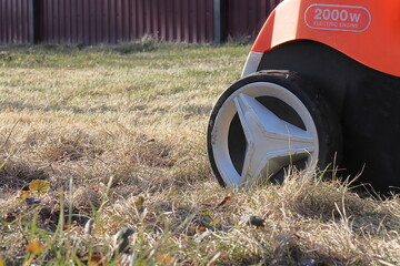 Removing dry grass from last year's lawn in spring using an electric scarifier