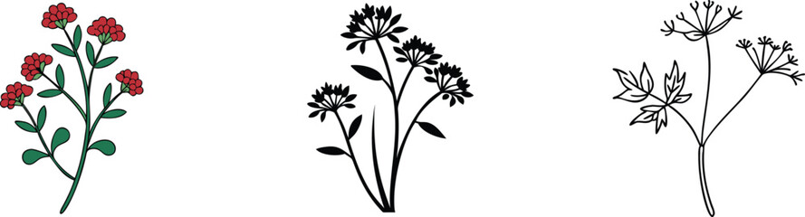 Floral Illustrations Red Flower, Daisy, and Wildflower Sketches