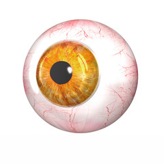 3d Blutbahnen auf dem Augapfel mit Pupille und Iris, freigestellt. 3d Rendering