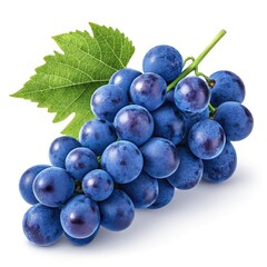 bunch of grapes