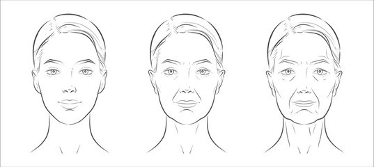 Woman’s face sketch, line vector drawing illustration, contrasting youth and age. Minimalist black-and-white design in realistic style, perfect for skincare ads, anti-aging campaigns, beauty concept