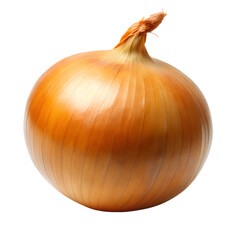 onion isolated on white background