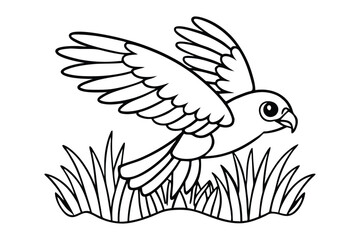 Obraz premium Bird coloring book for kids 