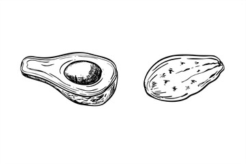 Avocado vector illustration painted by black inks. Half with seed and slices of topical fruit realistic graphic sketch. Etching drawing of organic healthy food for recipes, cookbook design