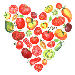 Tomatoes clipart, heart, rare varieties of tomato seeds. Cherry, yellow, green, red, black tomatoes, tomato slice. Stock illustration. Hand painted in watercolor.