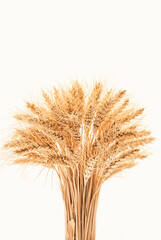 Fototapeta premium Dried wheat stalks arranged in a decorative bouquet adding a rustic touch to interior decor