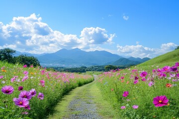 Obraz premium A smoothly winding road through lush fields of multicolored flowers