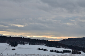 White snowy landscape with forests in the background with a white sky