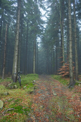 bike ride in the moutnians on a foggy day  © Karolina
