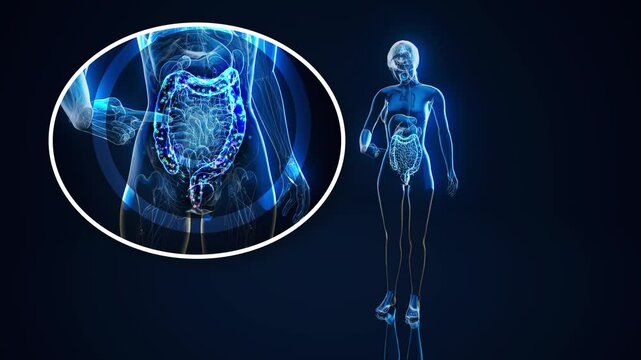 Conceptual animation of the gut microbiome