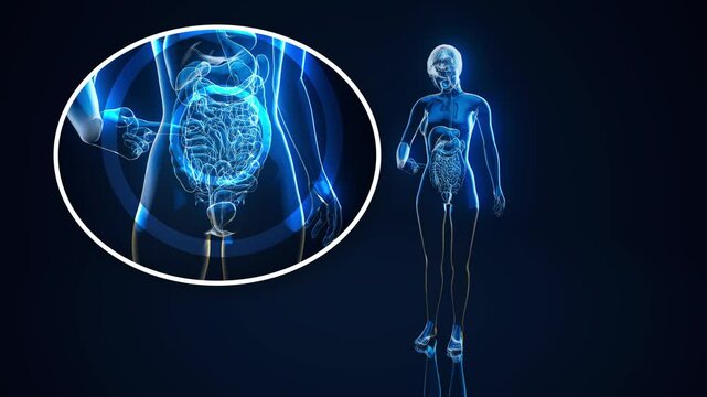 Conceptual animation of the gut microbiome