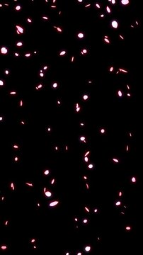 上から下へと光る花びらが落ちる桜吹雪のループ動画【縦長ビデオ】