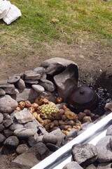 Preparing a traditional local Pachamanca ritual meal with hot stones under ground in Peru