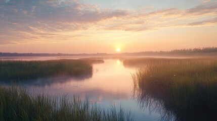 Obraz premium Serene sunrise over wetlands: Mist-shrouded waterways reflect the soft pastel hues, promising a tranquil start to the day in nature.