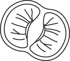 Doodle Tangerine Fruit