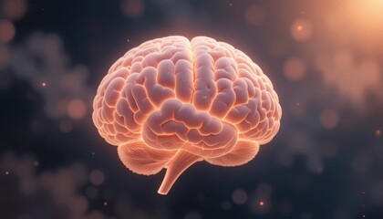 Obraz premium Serene Peach-Toned Brain Illustration Glowing Lines & Calming Atmosphere