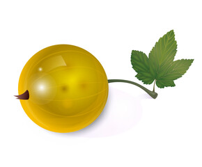 Beautiful translucent yellow currant on a white background with a leaf