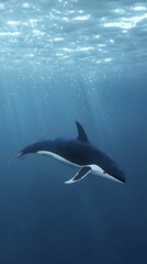 Beautiful Blue Whale in Deep Ocean Swimming Peacefully Marine Life Nature Underwater Photography