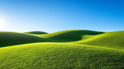 Obraz premium green field and blue sky