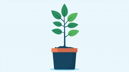 A small potted plant with green leaves growing from a brown pot, set against a light background.